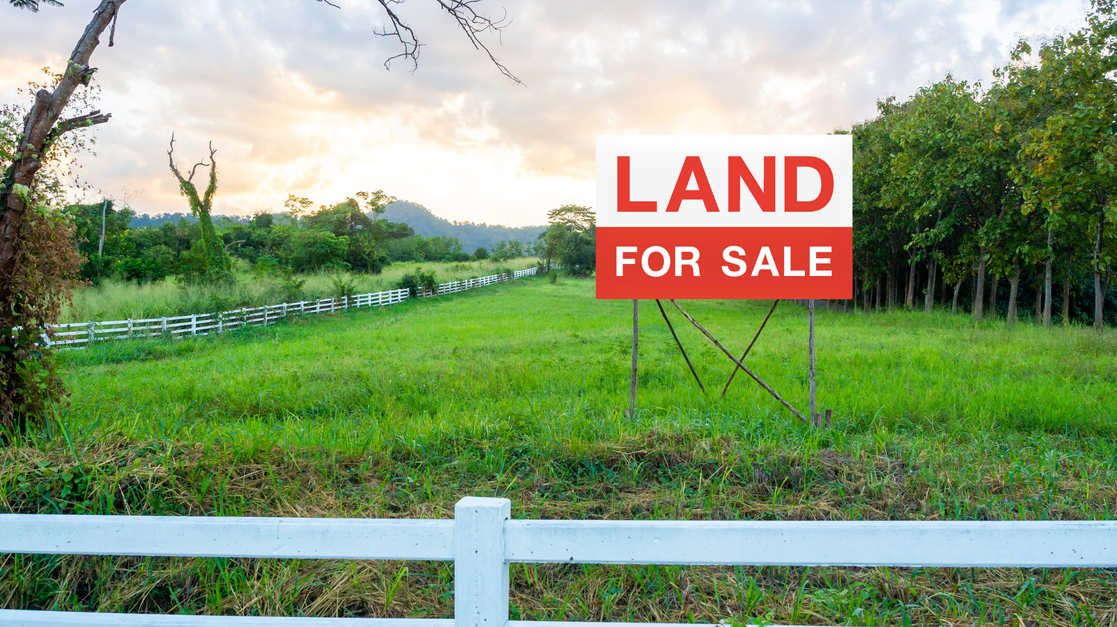 NRI Selling Agricultural Land in India Tax & Repatriation Guide